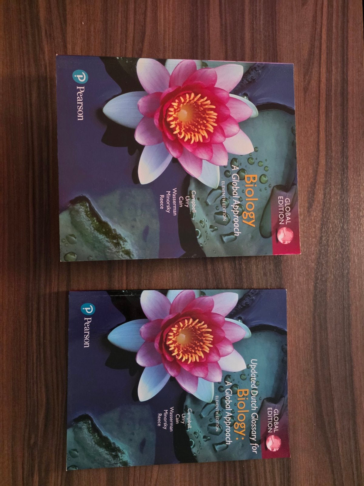 Biology: A Global Approach & Updated Dutch Glossary, Campbell, Urry, Cain, Wasserman, Minorsky, Reece, Zo goed als nieuw, Beta