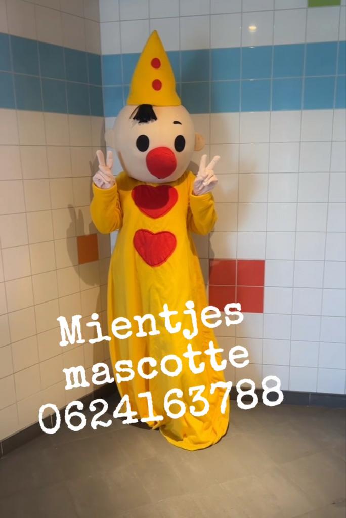 Bumba Mascotte te huur, Tickets en Kaartjes, Eén persoon, Ticket of Toegangskaart