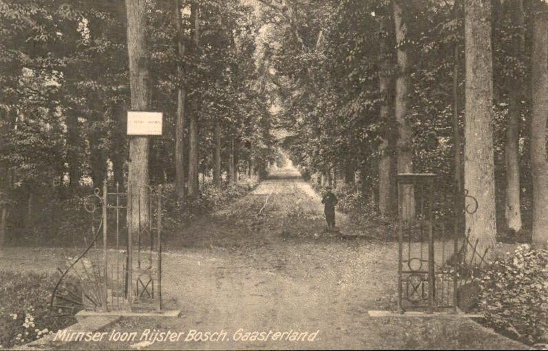 Gaasterland - Mirnserloon Rijstebosch, Ophalen of Verzenden, 1920 tot 1940, Gelopen, Friesland