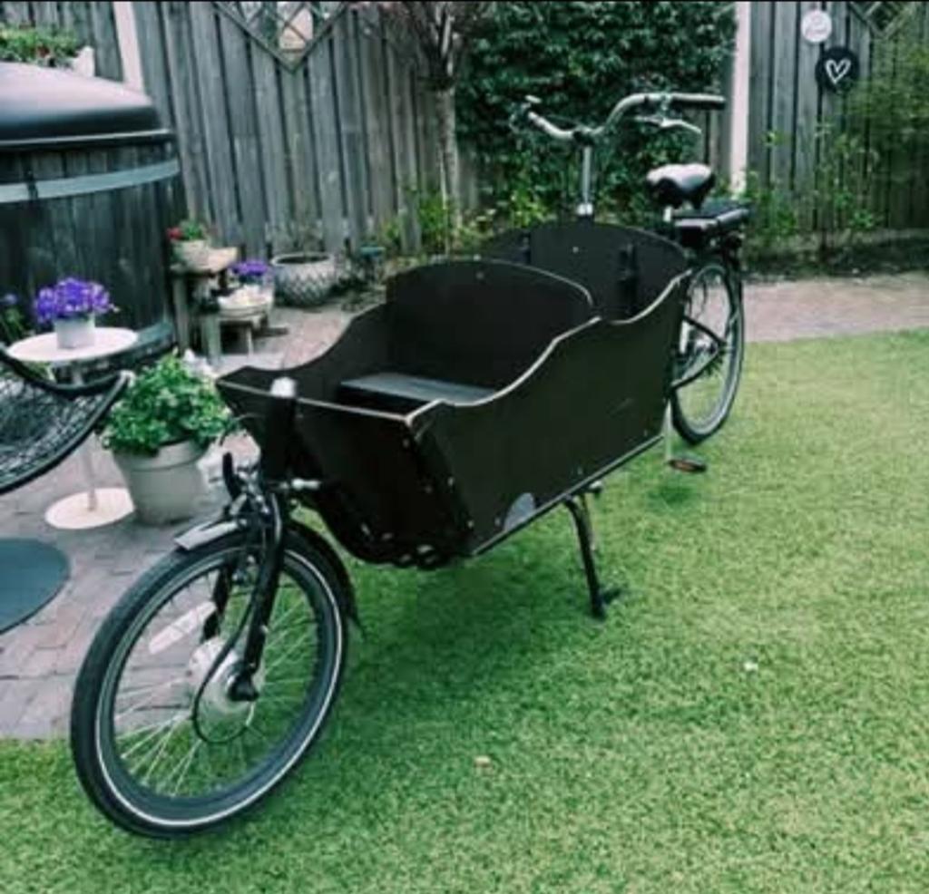 ELEKTRISCHE bakfiets 4 kids/hond, Ophalen of Verzenden, Zo goed als nieuw, 4 kinderen of meer
