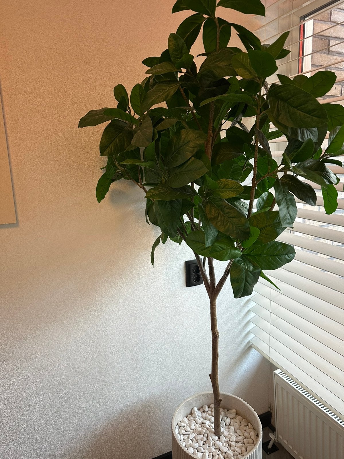 Binnen boom met bak, Ophalen, Zo goed als nieuw, Binnen