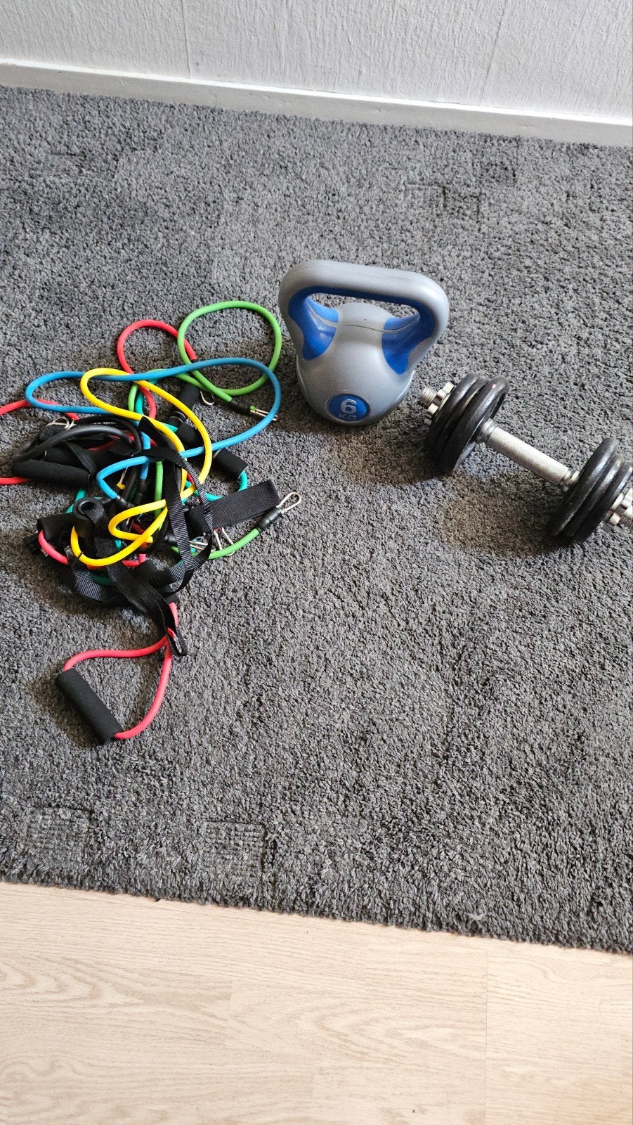 Fitness : Dumbbell, Kettlebell en Weerstandsbanden, Ophalen, Gebruikt, Benen, Dumbbell