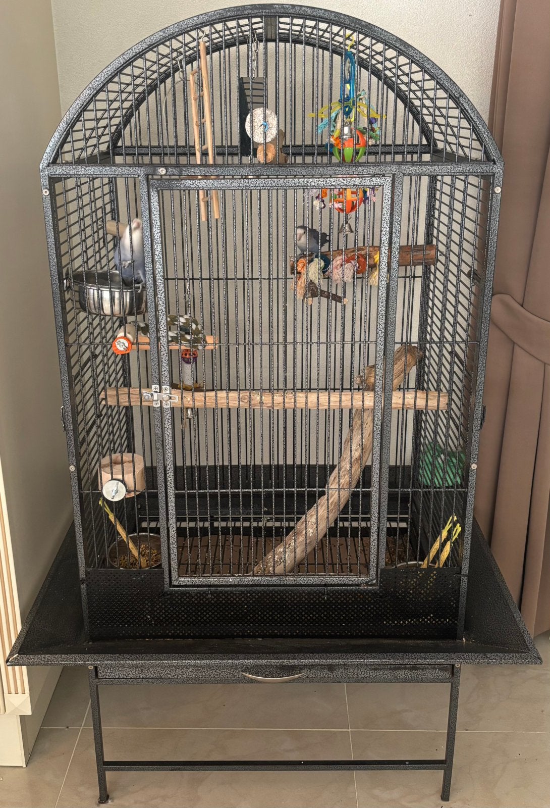 2 tamme dwergpapagaaien met kooi en toebehoren. Agapornis, Ophalen, Zo goed als nieuw, Metaal, Vogelkooi