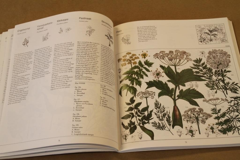 Atlas Flora van Oudemans — Wilde Planten, Platen 1859-1862, Boeken, Ophalen of Verzenden, Gelezen, Bloemen, Planten en Bomen