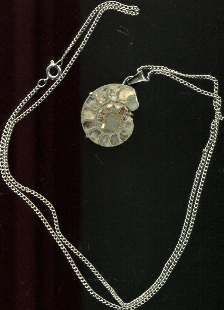 Amoniet hanger met ketting, Verzenden, Overige materialen, Hanger