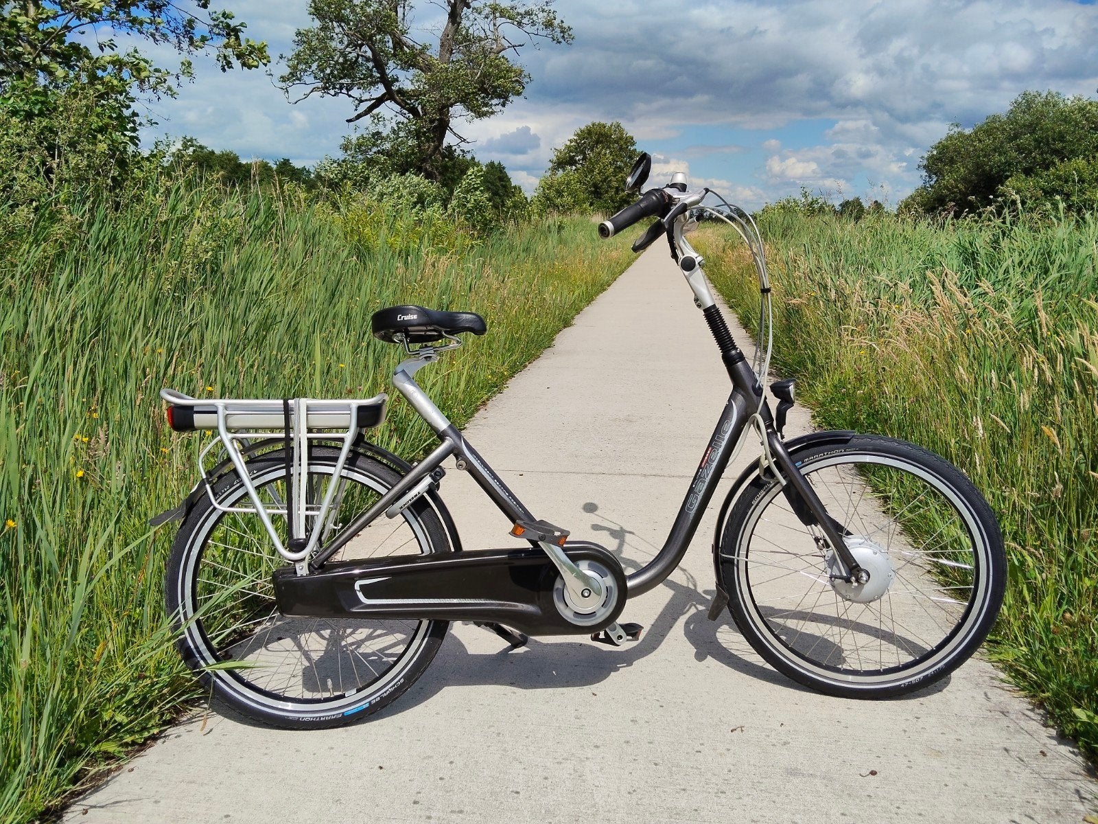 Gazelle Balance elektrische damesfiets, in nieuwstaat, Fietsen en Brommers, Fietsen | Dames | Damesfietsen, Ophalen, Versnellingen