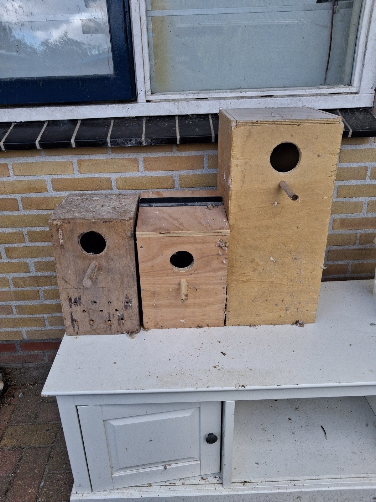 gratis 3 grote broedhokken, Ophalen of Verzenden