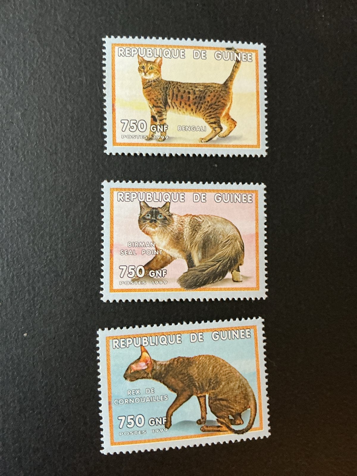 Guinee postzegels - Kattenrassen (Bengali, Birman, Rex), Verzenden, Guinee, Postfris