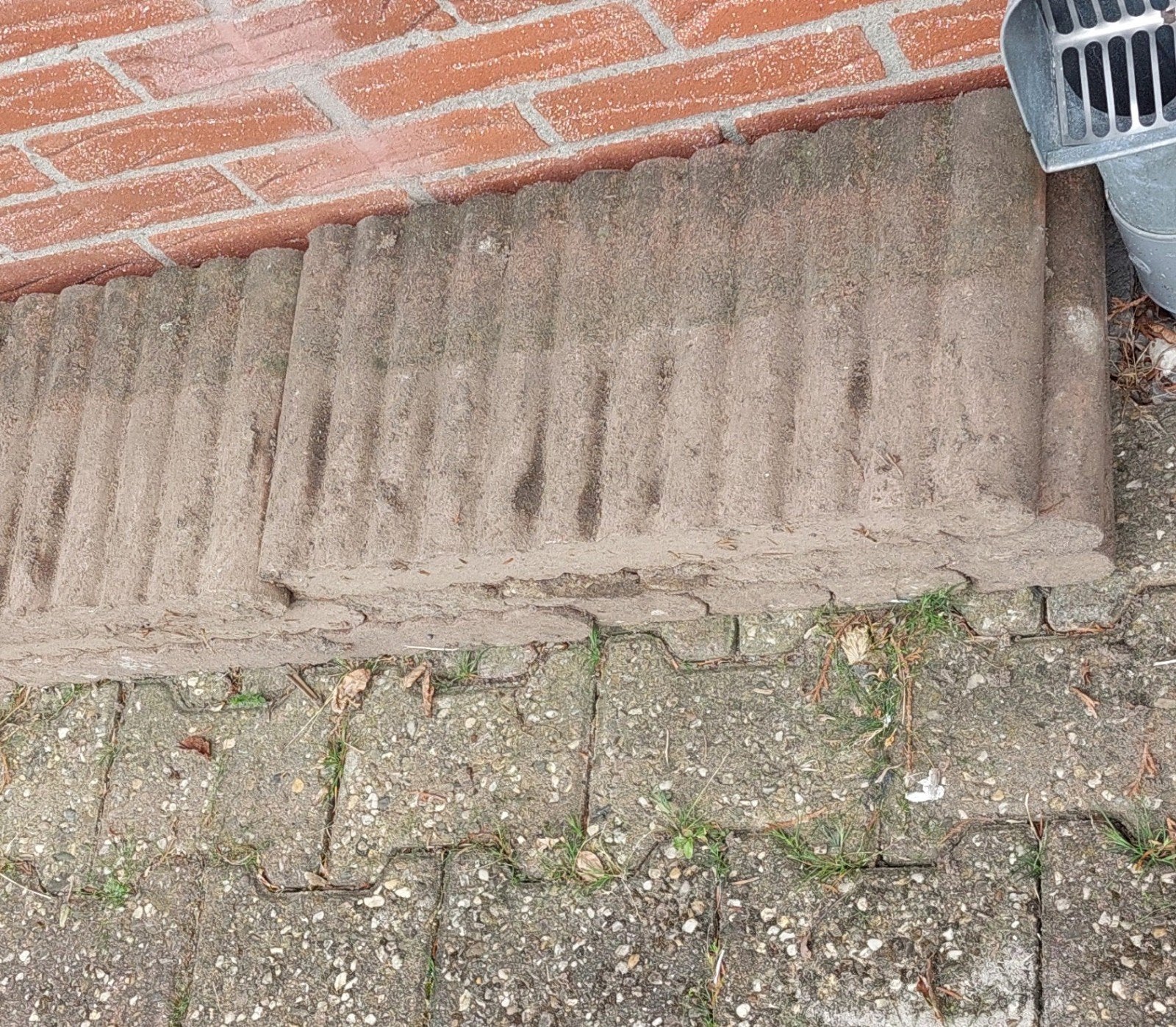 GRATIS: ongeveer 21/22 stuks borderrand, Tuin en Terras, Ophalen, Gebruikt, 25 tot 50 cm, Border