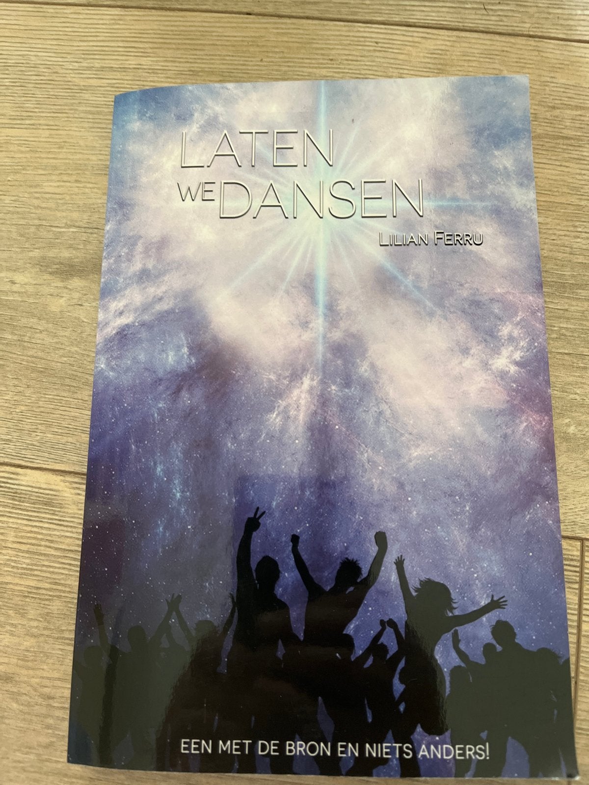 Laten We Dansen - Lilian Ferru (Boek), Boeken, Ophalen of Verzenden, Gelezen, Nederland