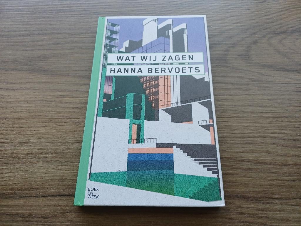 Nieuw Wat wij zagen-Hanna Bervoets, Boeken, Ophalen of Verzenden, Nieuw, Hanna Bervoets
