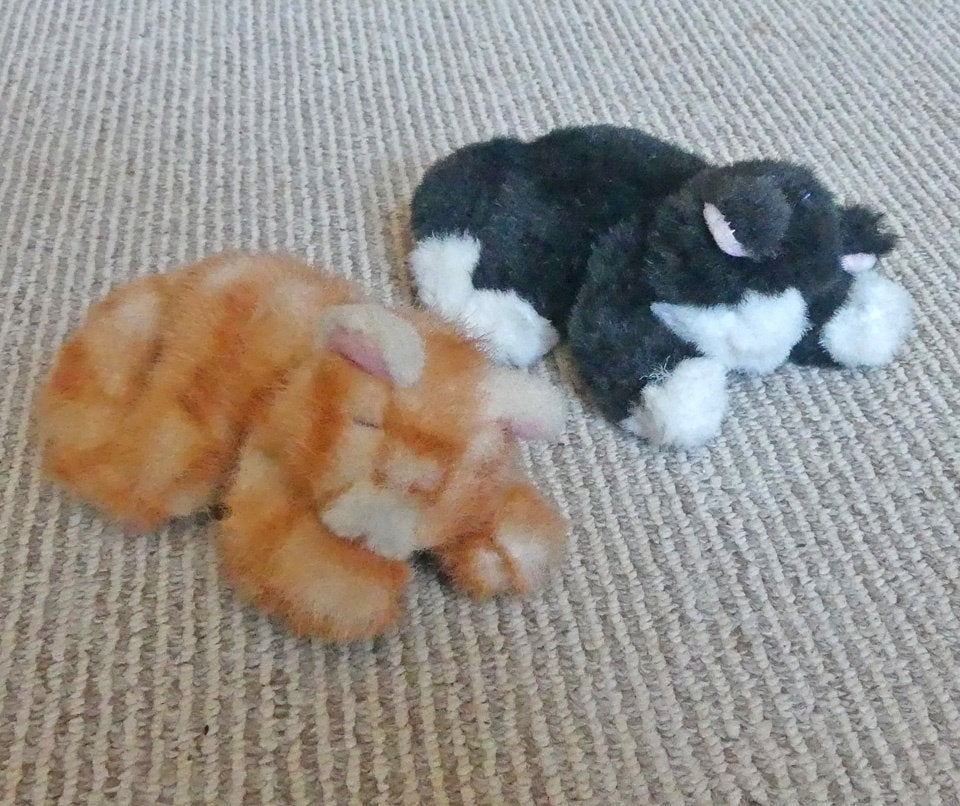 Russ slapende poesjes kat poes zwart rood knuffel pluche, Gebruikt, Ophalen of Verzenden, Kat, Rood