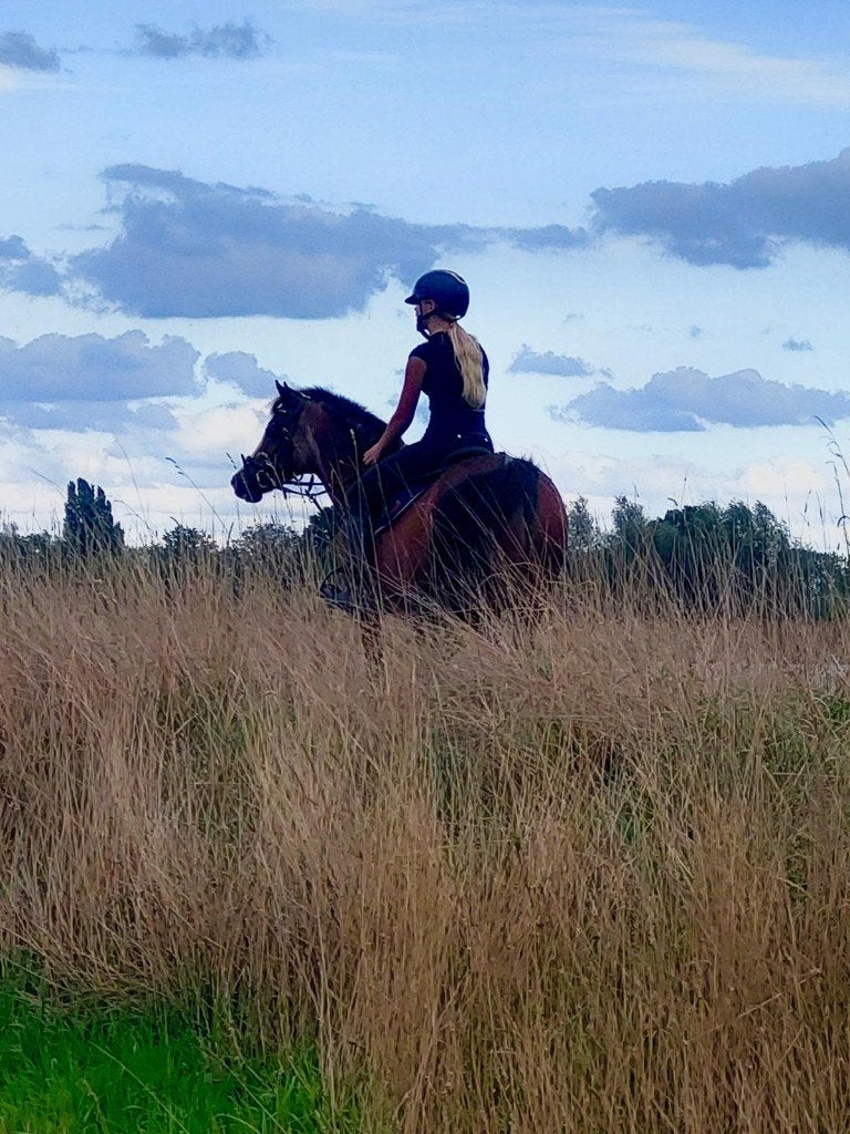 Lieve Welsh B pony, Dieren en Toebehoren, Pony's, Merrie, B pony (1.17m tot 1.27m), 11 jaar of ouder, Recreatiepony