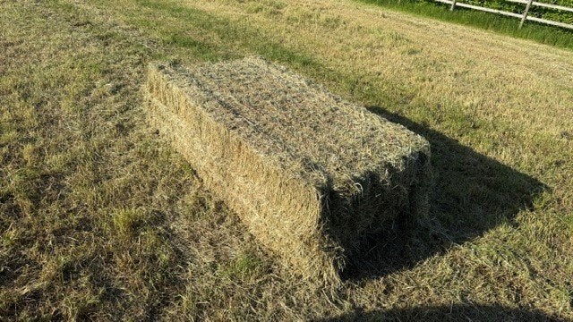 15 stuks grote pakken hooi 120x240x90 vanaf € 60.-/stuk, Dieren en Toebehoren, Ophalen, Vee