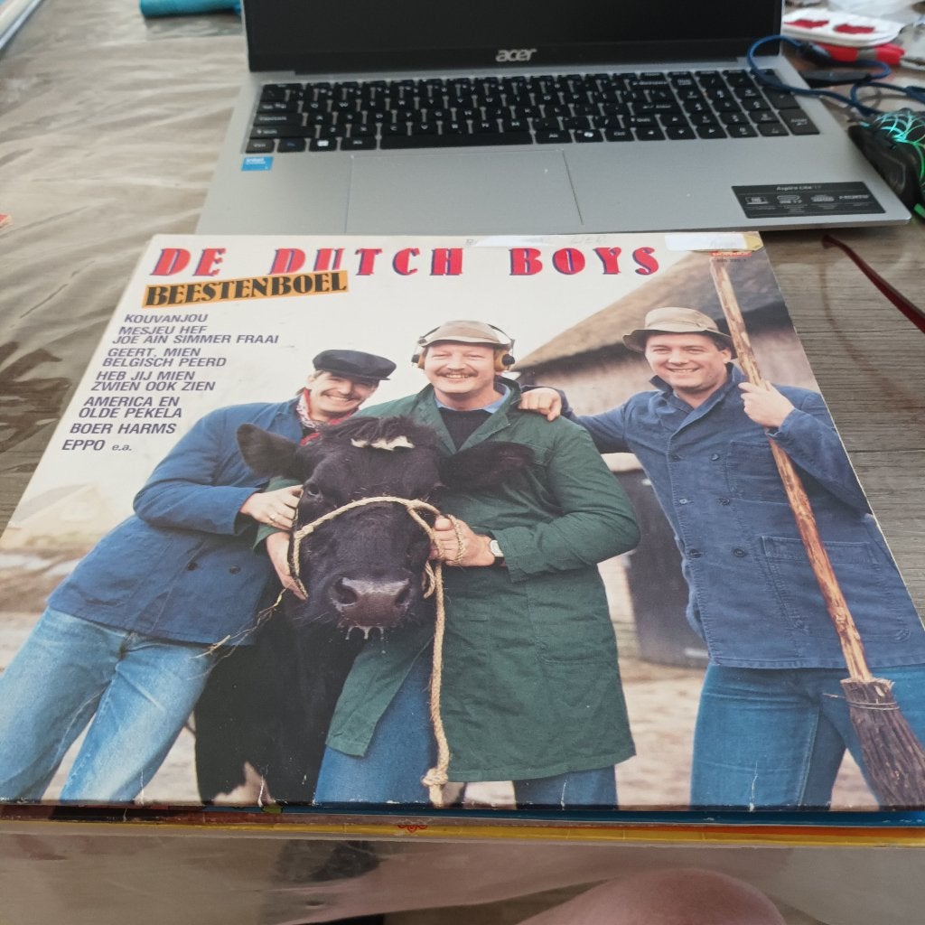 lp the dutch boys 10 euro, Cd's en Dvd's, LP, Ophalen of Verzenden, Zo goed als nieuw, Levenslied of Smartlap