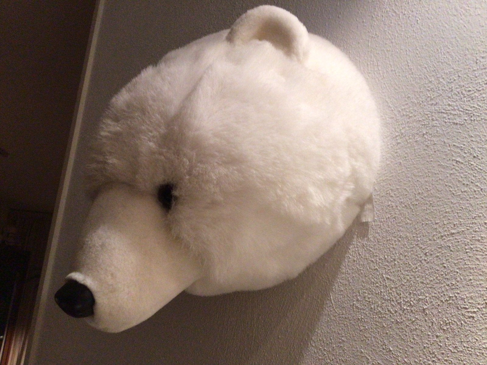 IJbeer, dierenknuffel, wandmodel, wit, kinder kamer, Ophalen of Verzenden, Zo goed als nieuw, Wanddecoratie
