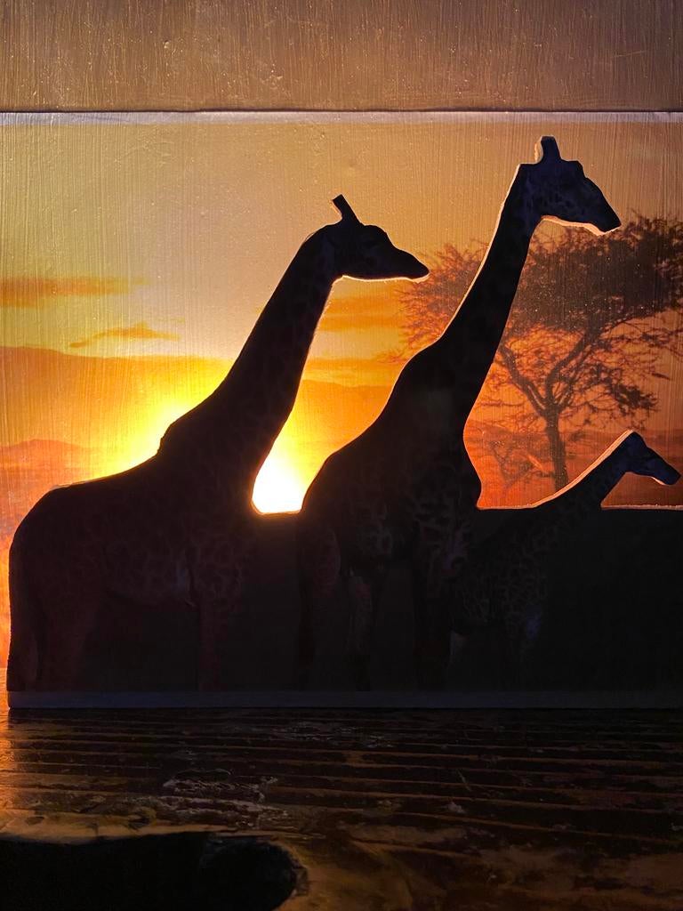 Giraffen - Lamp!, Ophalen of Verzenden, Zo goed als nieuw, Hout
