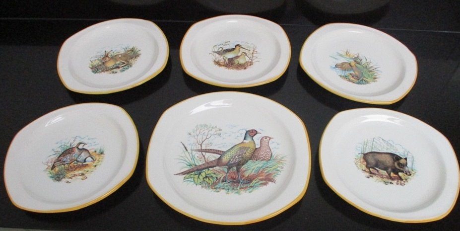 5 borden met dierenprints, Ophalen of Verzenden, Zo goed als nieuw, Bord(en), Overige stijlen