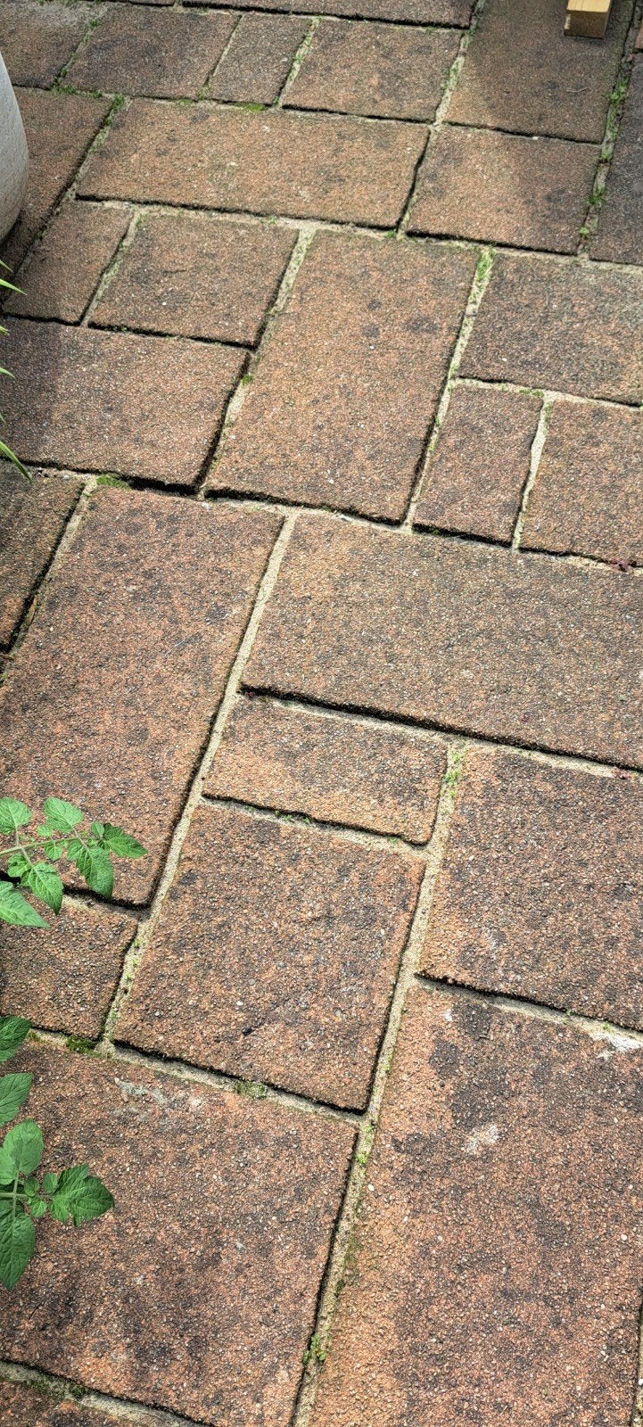 Wildverband betontegels - Diverse maten, Ophalen, Gebruikt, Beton, Terrastegels
