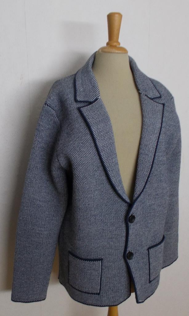 Mooi wol mix nieuw vest van Blumfontain! L, Verzenden, Nieuw, Maat 52/54 (L), Blauw
