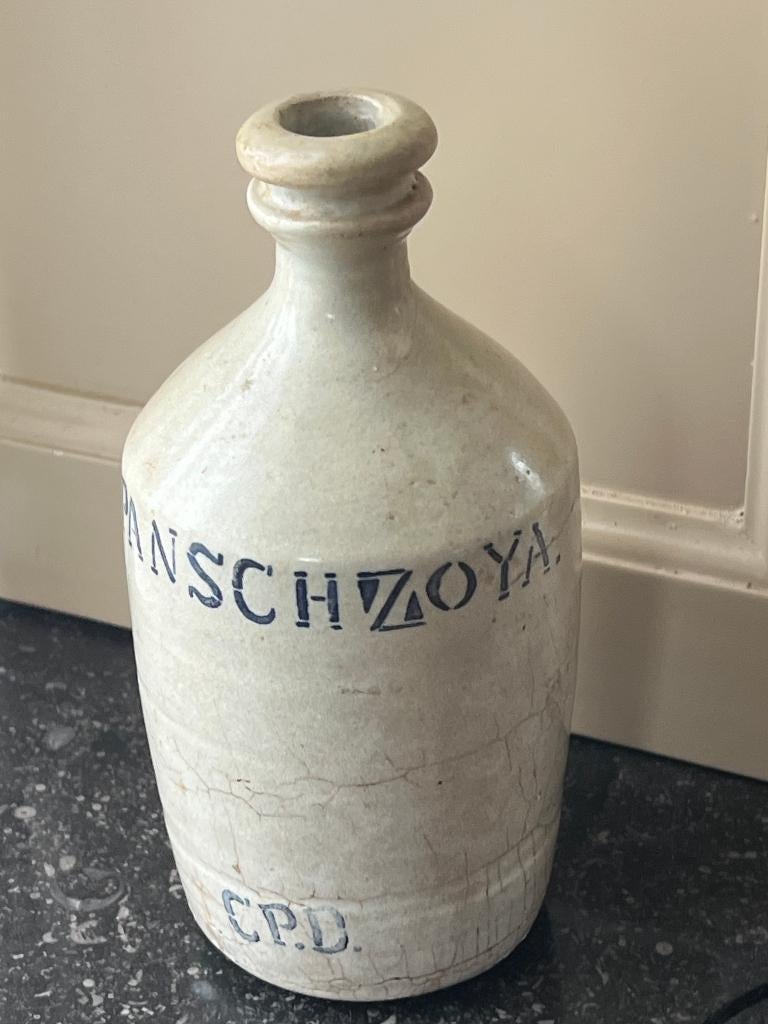 JAPANSCH ZOYAKRUIKJE - SOYAKRUIKJE, Verzenden