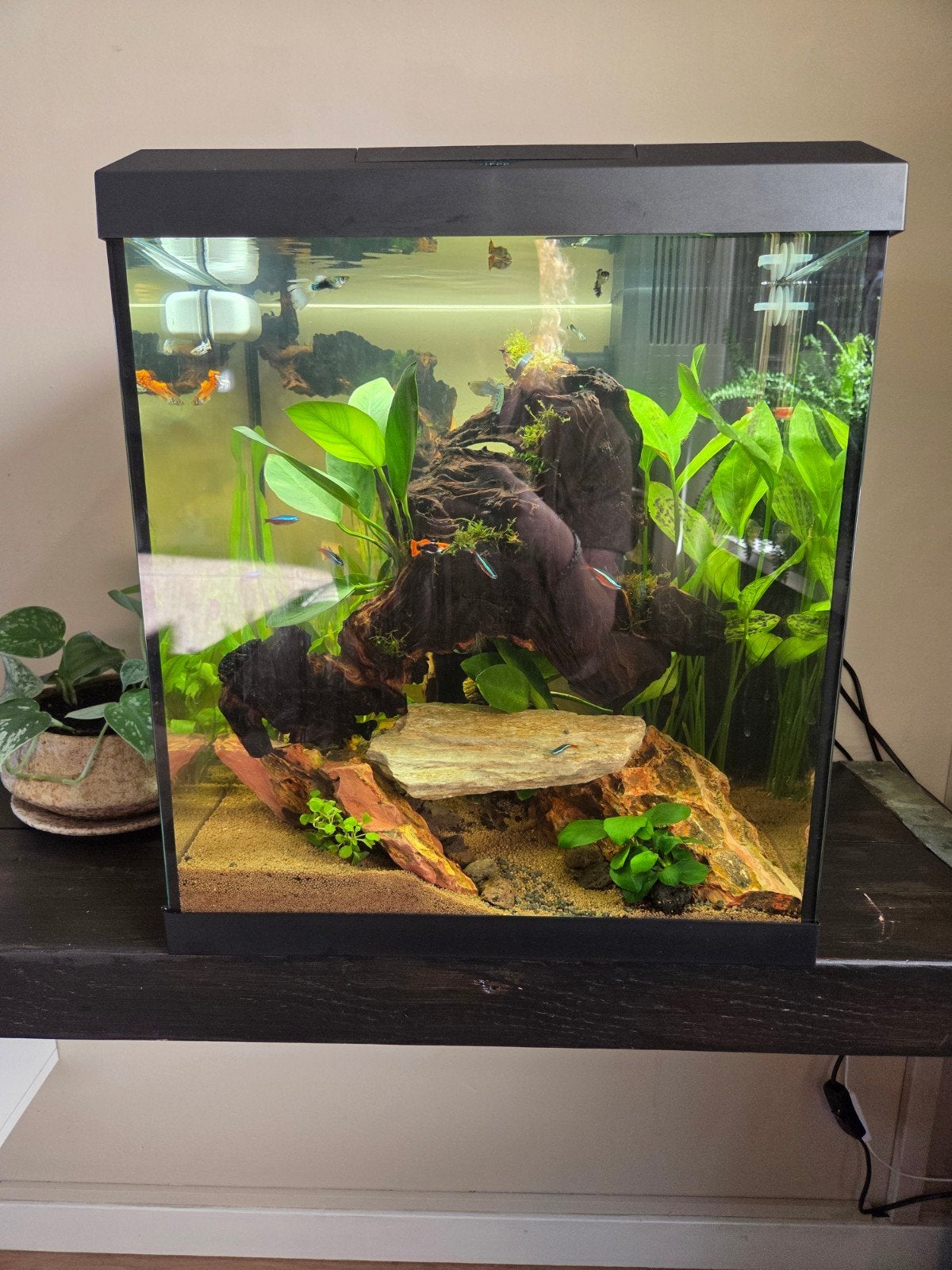 Juwel vio cube 54l, Dieren en Toebehoren, Ophalen, Zo goed als nieuw, Juwel
