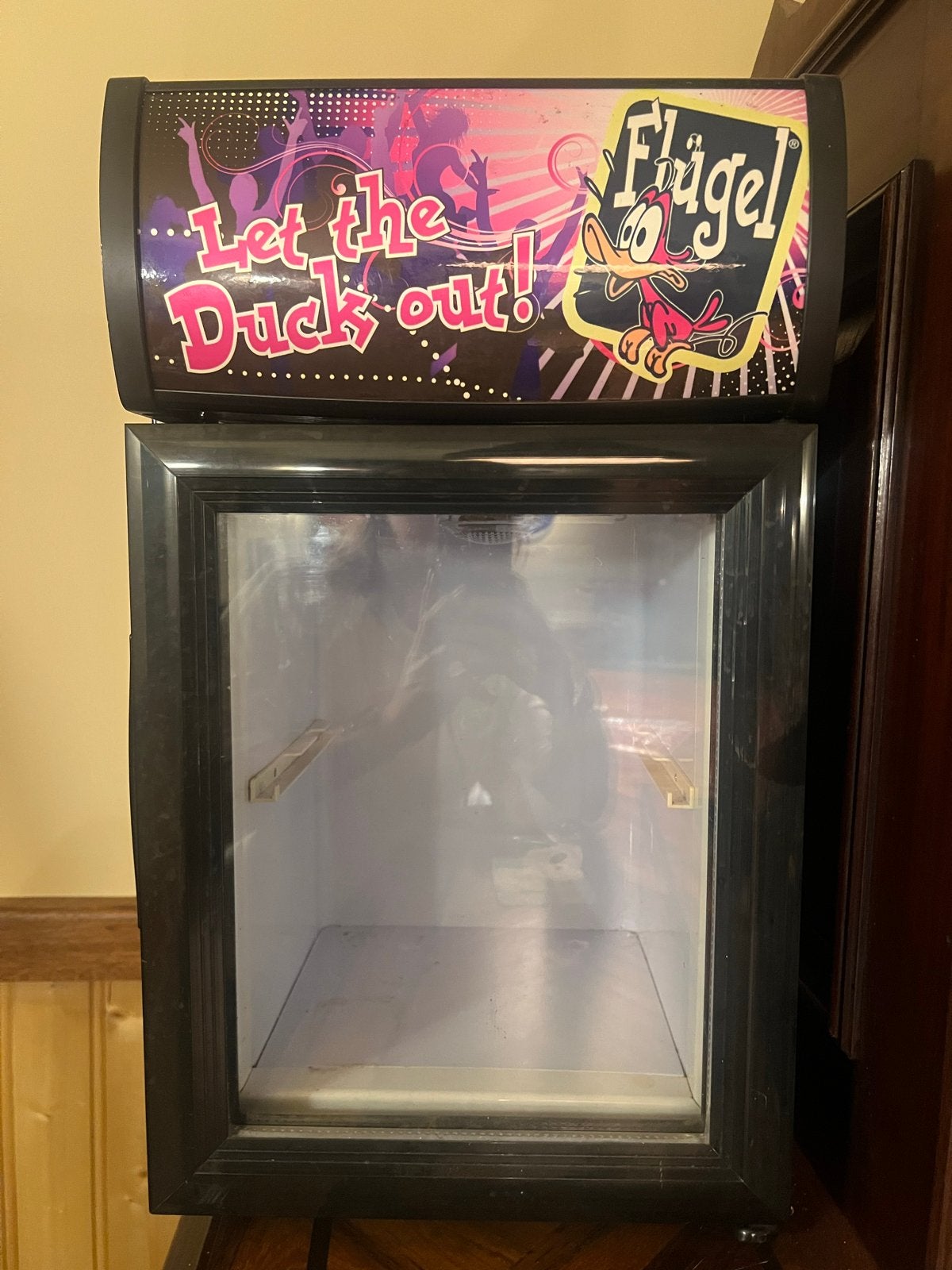 Flügel minikoelkast met verlichting 20L, Ophalen, Minder dan 75 liter, Zonder vriesvak, Gebruikt