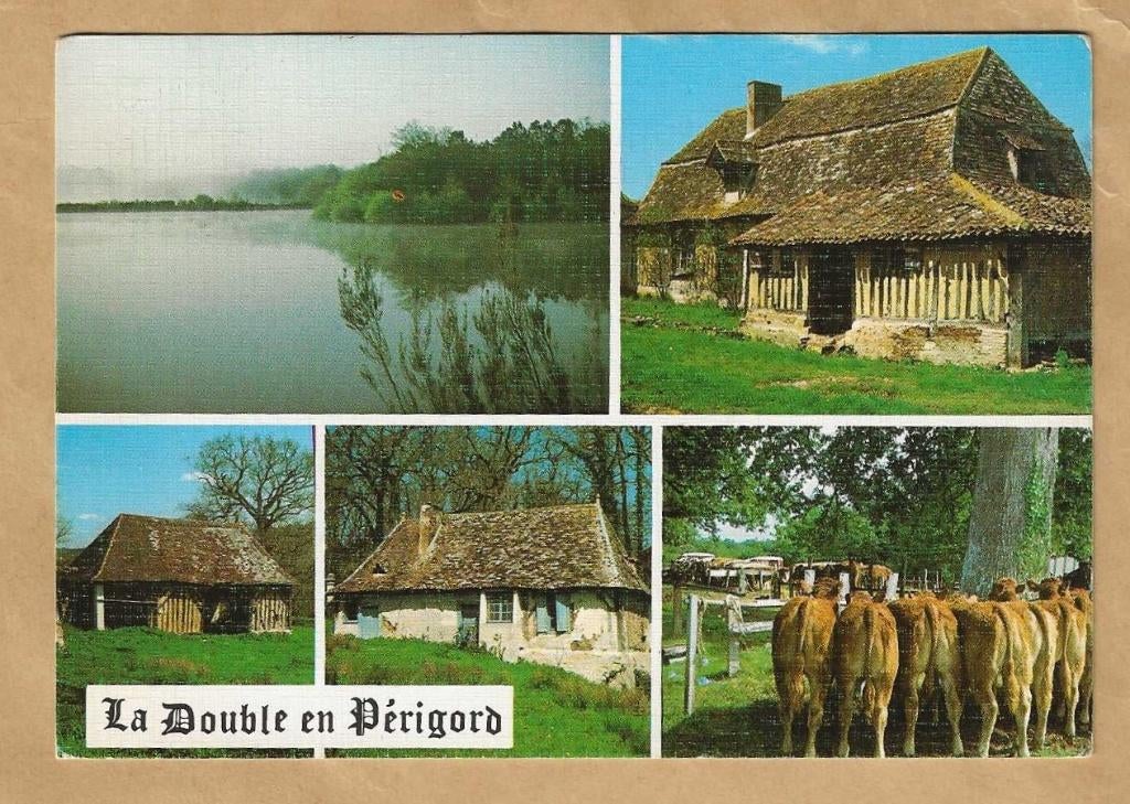 Ansichtkaart. Frankrijk. La Double en Perigord., Ophalen of Verzenden, 1980 tot heden, Gelopen, Frankrijk