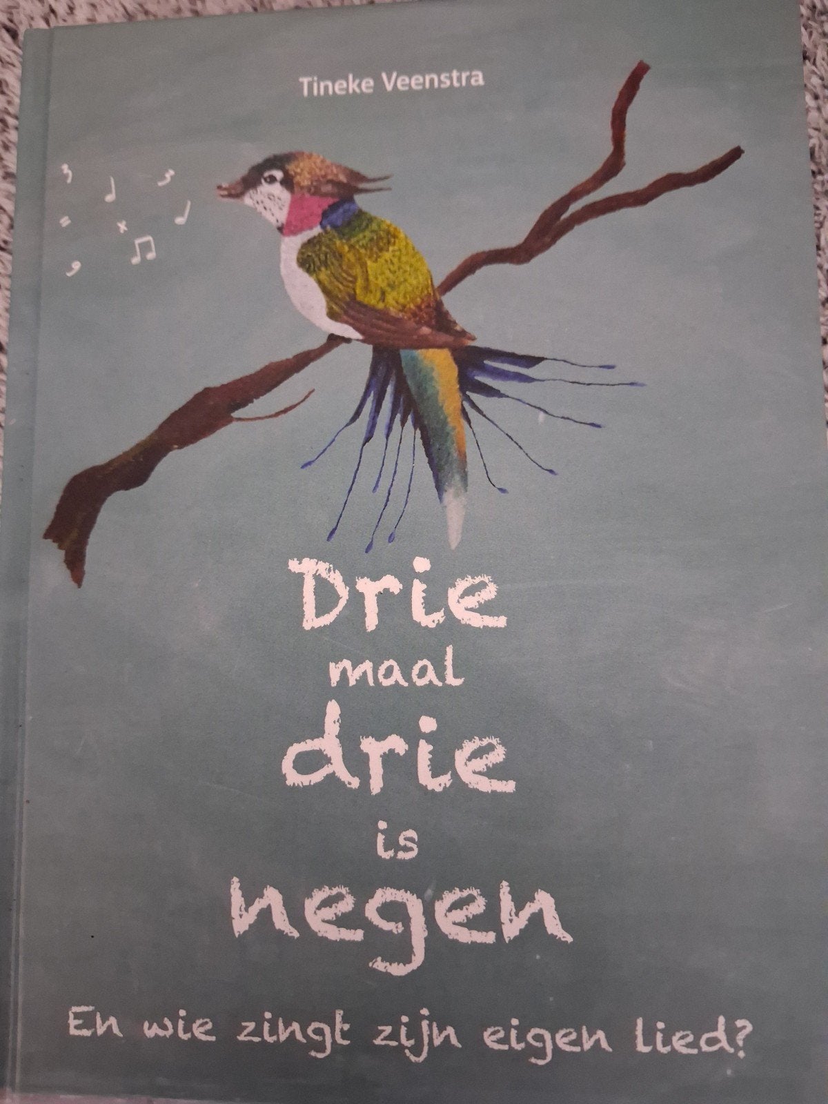Tineke Veenstra - Drie maal drie is negen, Boeken, Tineke Veenstra, Ophalen of Verzenden, Ontwikkelingspsychologie, Zo goed als nieuw