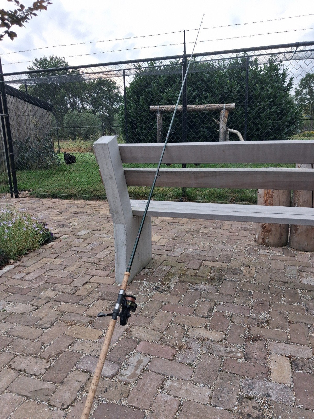 karperhengel, Watersport en Boten, Hengelsport | Algemeen, Ophalen of Verzenden, Werphengel