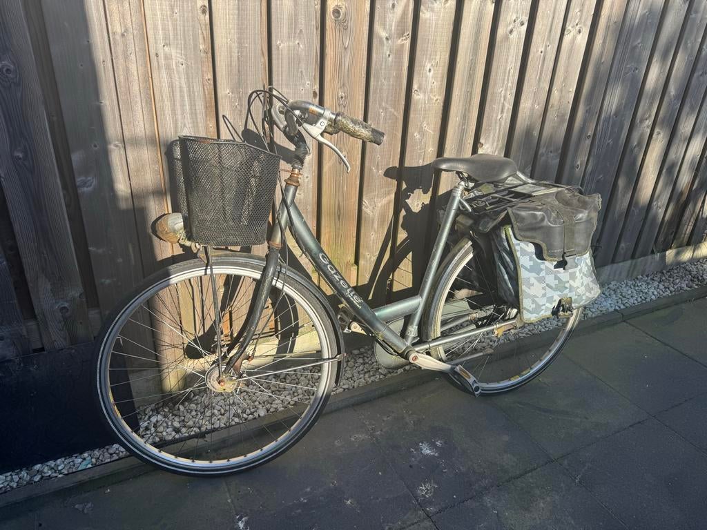 Gazelle Damesfiets met mand en fietstassen, Terugtraprem, Ophalen of Verzenden, Gazelle, 53 tot 56 cm