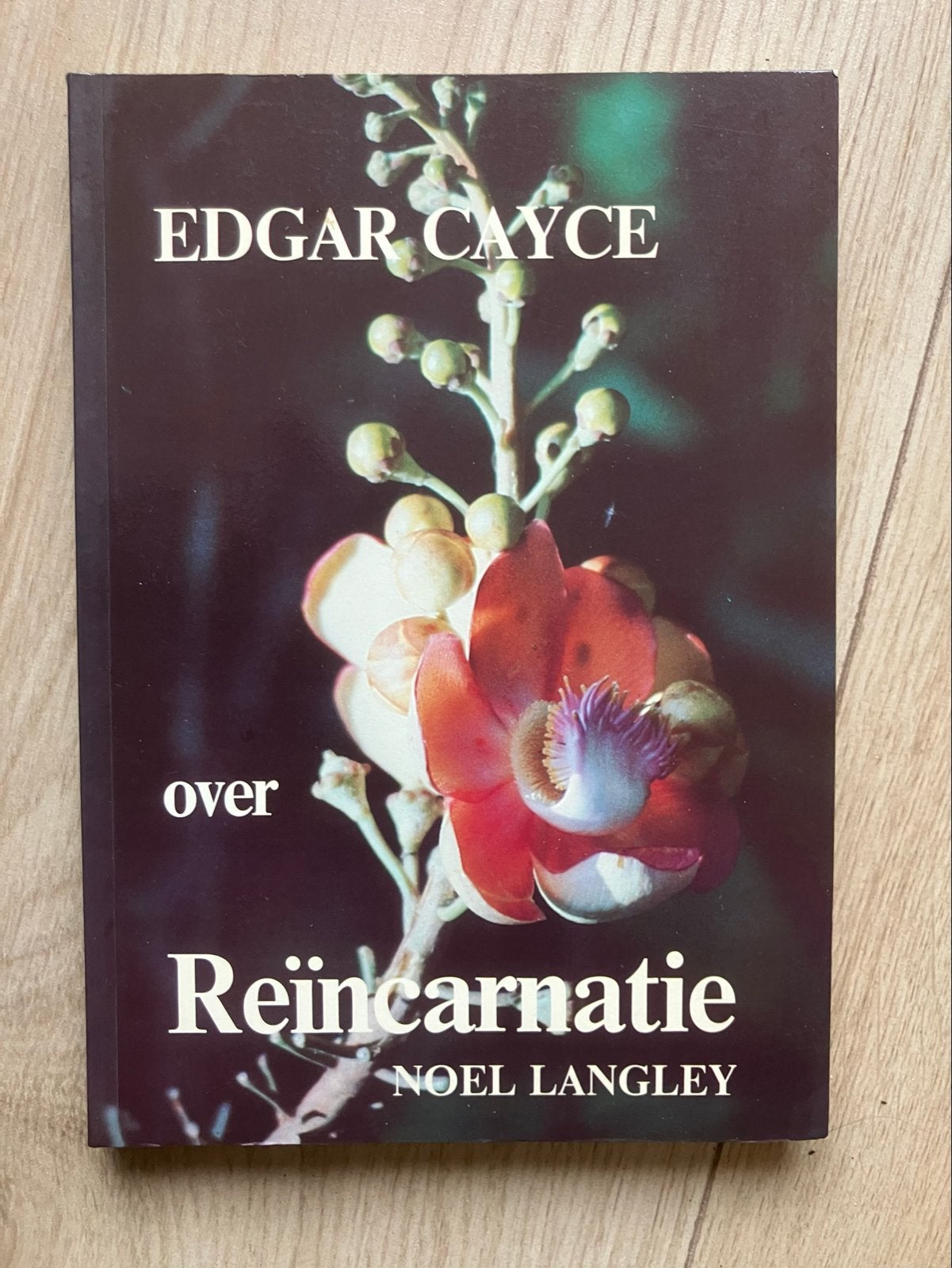 Edgar Cayce over Reïncarnatie - Noel Langley, Ophalen of Verzenden, Gelezen, Ziel of Sterfelijkheid, Achtergrond en Informatie