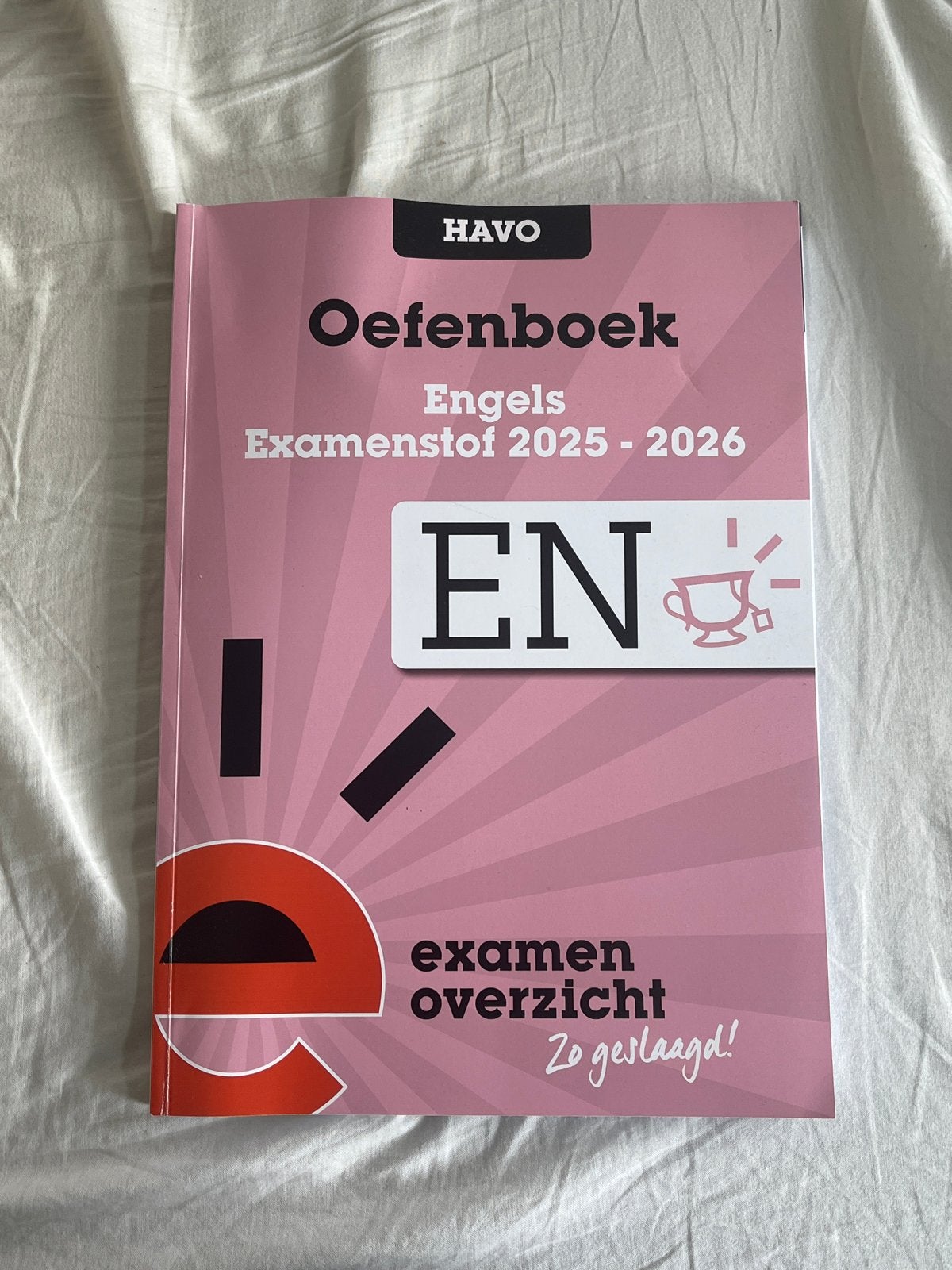 Oefenboek Engels HAVO Examenstof, Boeken, Ophalen of Verzenden, Gelezen, HAVO, Engels