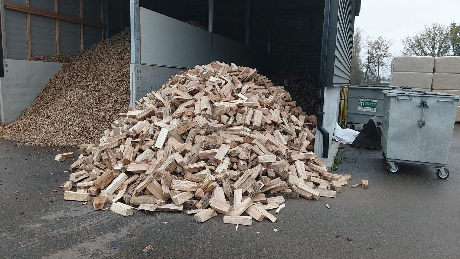 Vers haardhout eik en beuk, 8m3 thuisgebracht voor €900, 6 m³ of meer, Ophalen of Verzenden, Overige houtsoorten, Blokken
