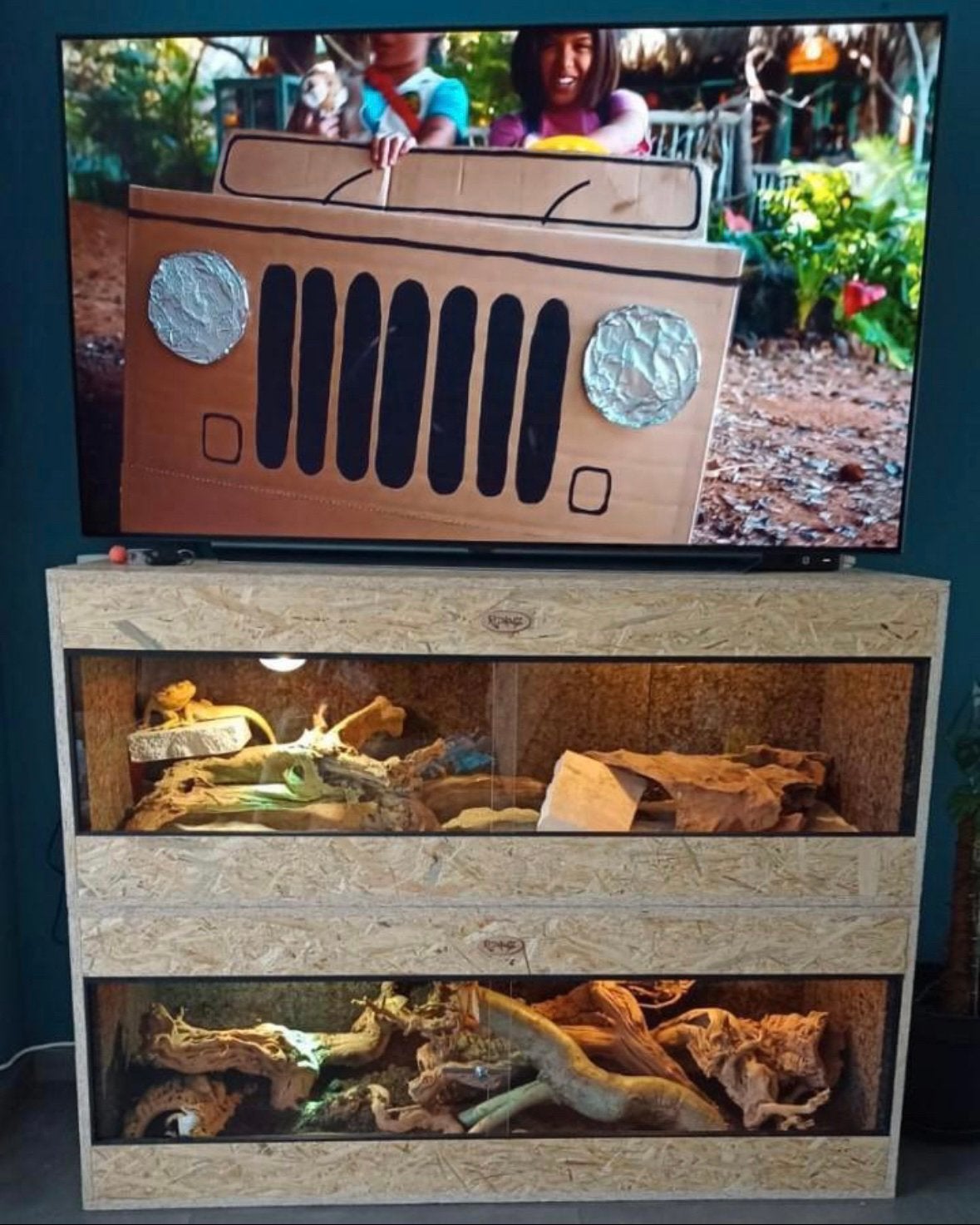 NIEUW ‼️ TERRARIUM OSB ( verschillende op voorraad ), Dieren en Toebehoren, Ophalen, Nieuw, Terrarium of Paludarium