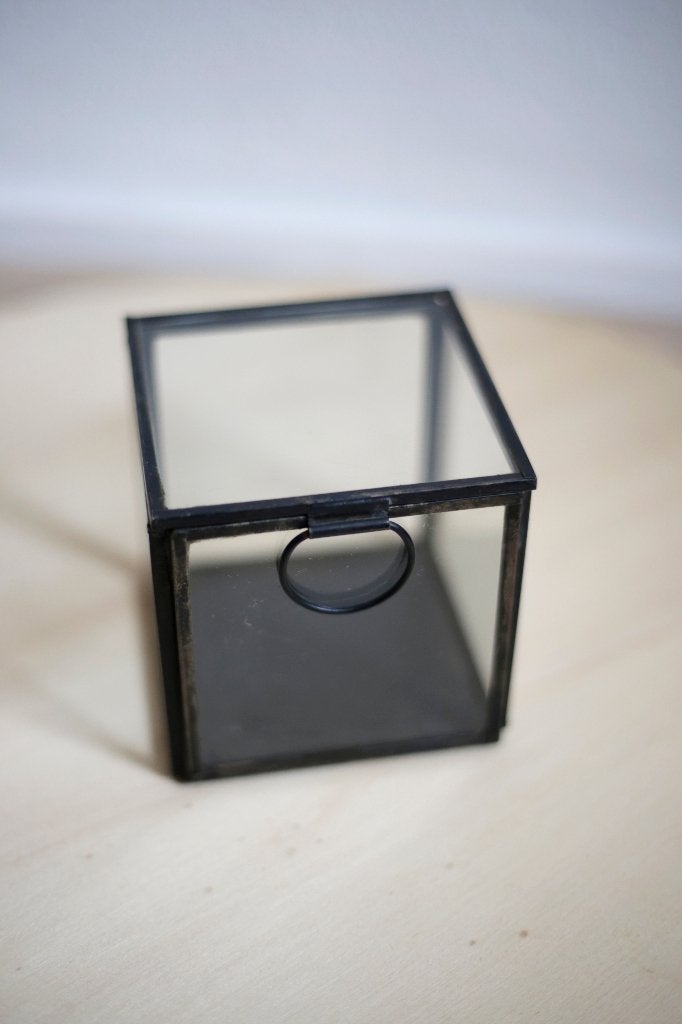 Glazen display box met deksel zwart, Ophalen, Metaal, Industrieel, Gebruikt