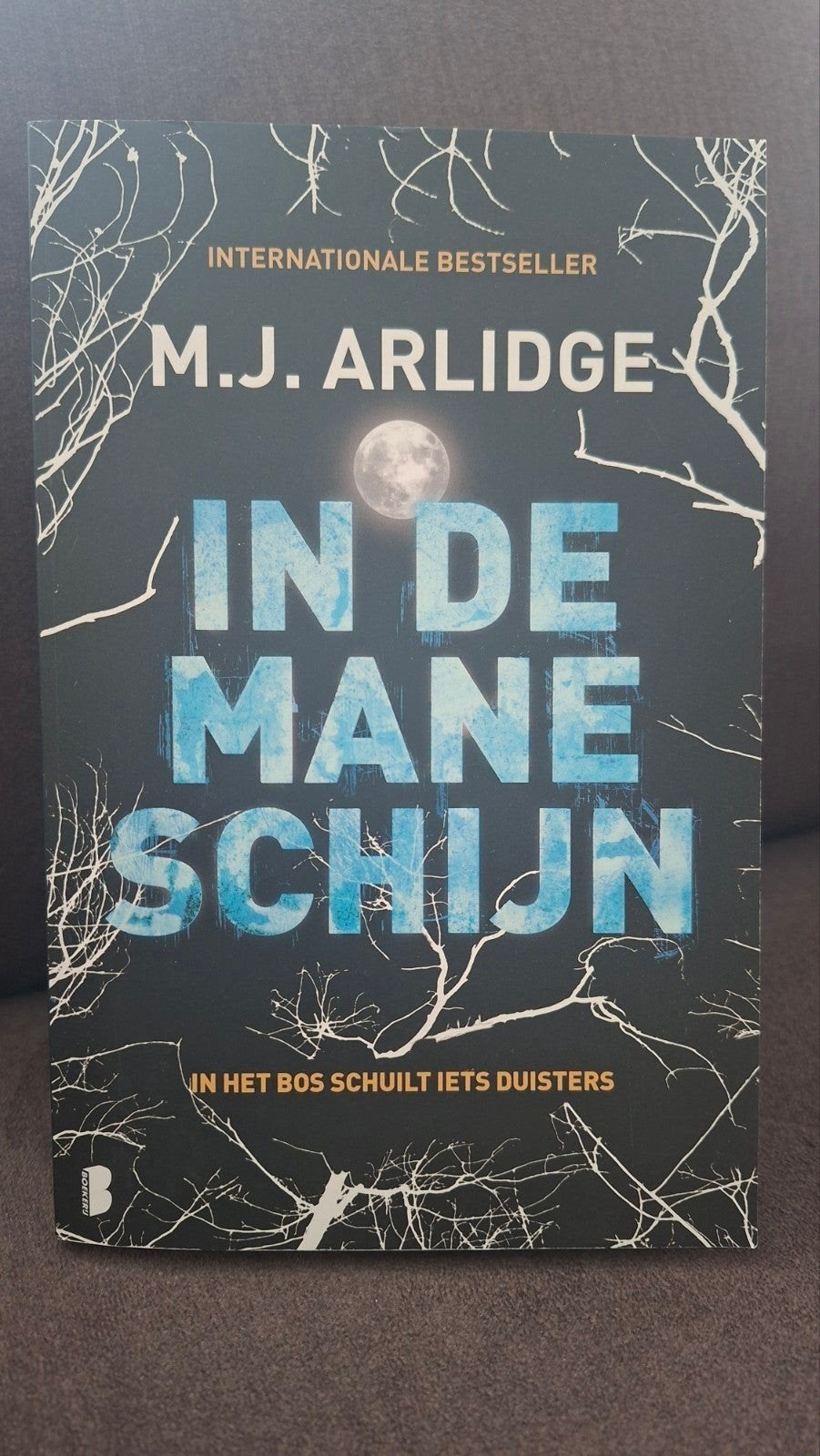 In de Maneschijn- M.J. Arlidge, Ophalen of Verzenden, Zo goed als nieuw