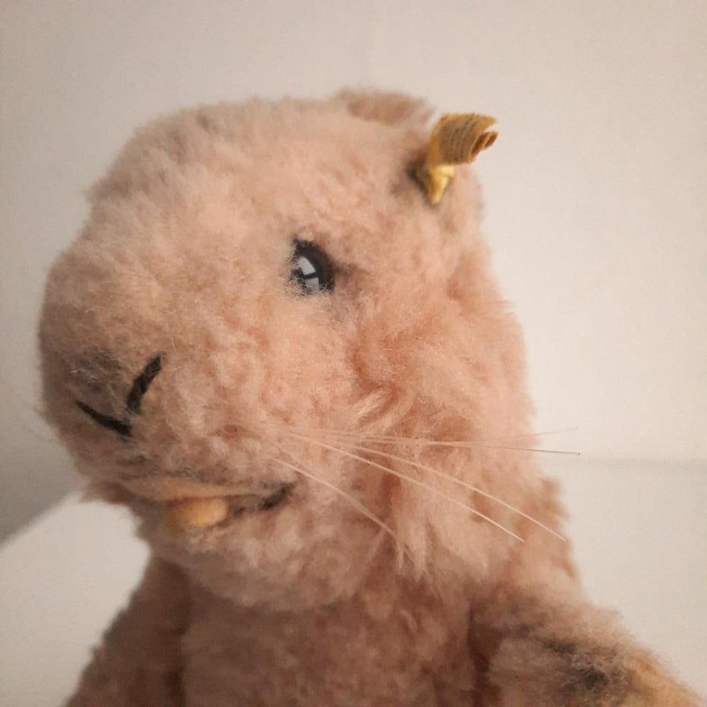 Vintage Steiff Marmot Pluche - Zeldzaam verzamelobject, Ophalen of Verzenden, Gebruikt, Overige typen
