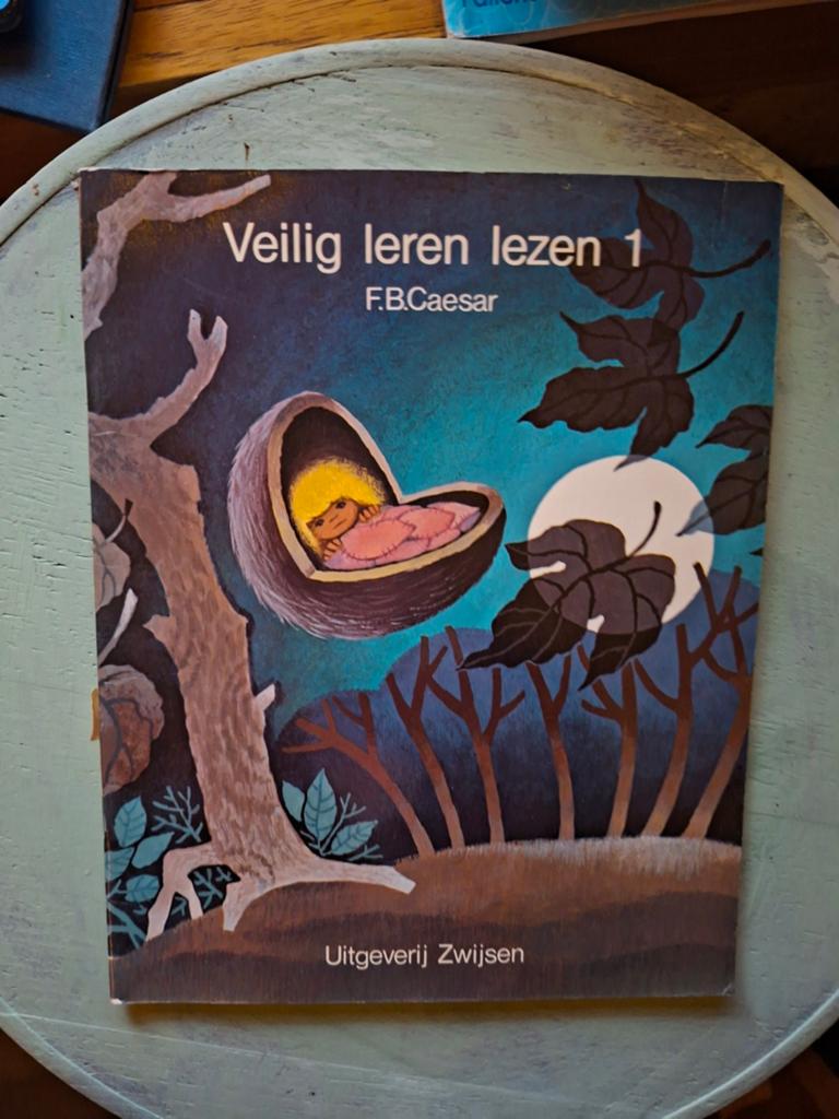 Boekjes "Veilig leren lezen", Ophalen of Verzenden, Zo goed als nieuw, Overige niveaus, Nederlands