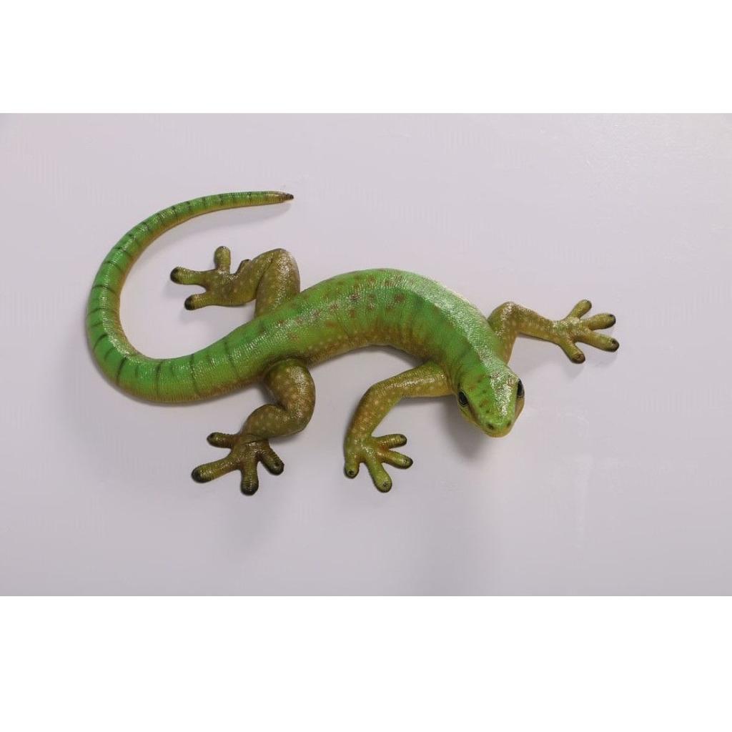 Gecko – Gekko beeld Lengte 65 cm, Ophalen, Nieuw, Overige typen