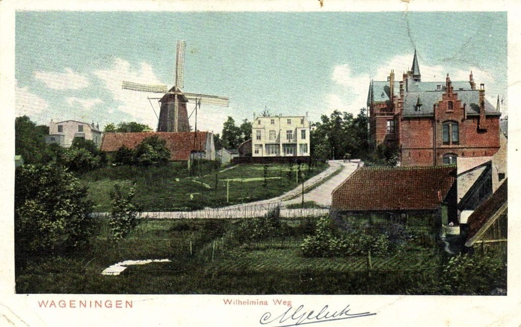 Wageningen - Wilhelmina Weg - molen - gelopen, Verzamelen, Verzenden, Voor 1920, Gelopen, Gelderland