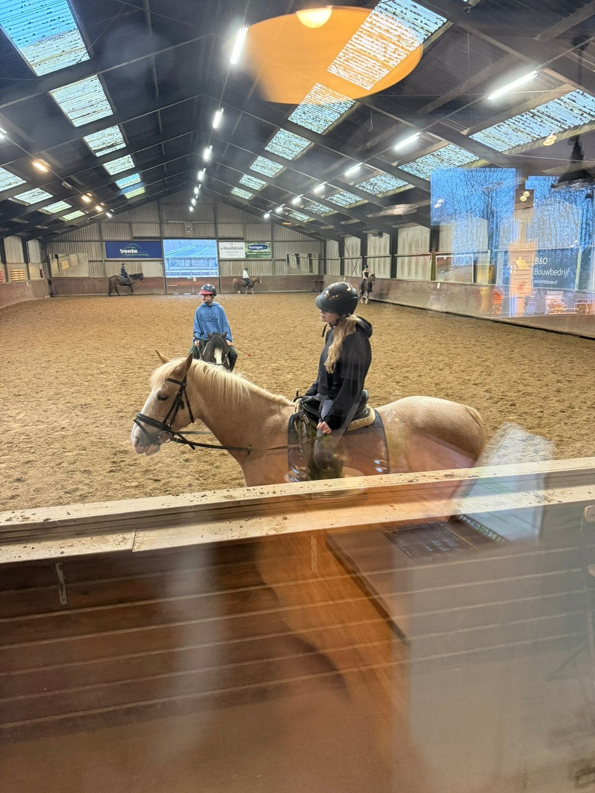 Lease pony/paard gezocht, Ophalen of Verzenden, Nieuw, Rijden