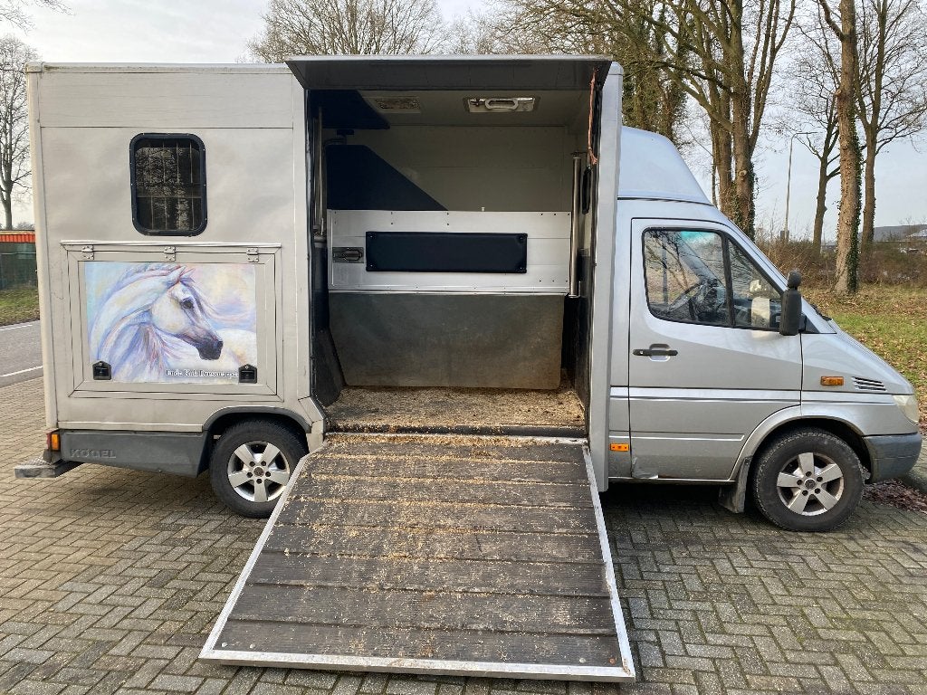 Mercedes-Benz Sprinter Paardenwagen B rijbewijs, Auto's, Bluetooth, Mercedes-Benz, Diesel, Grijs