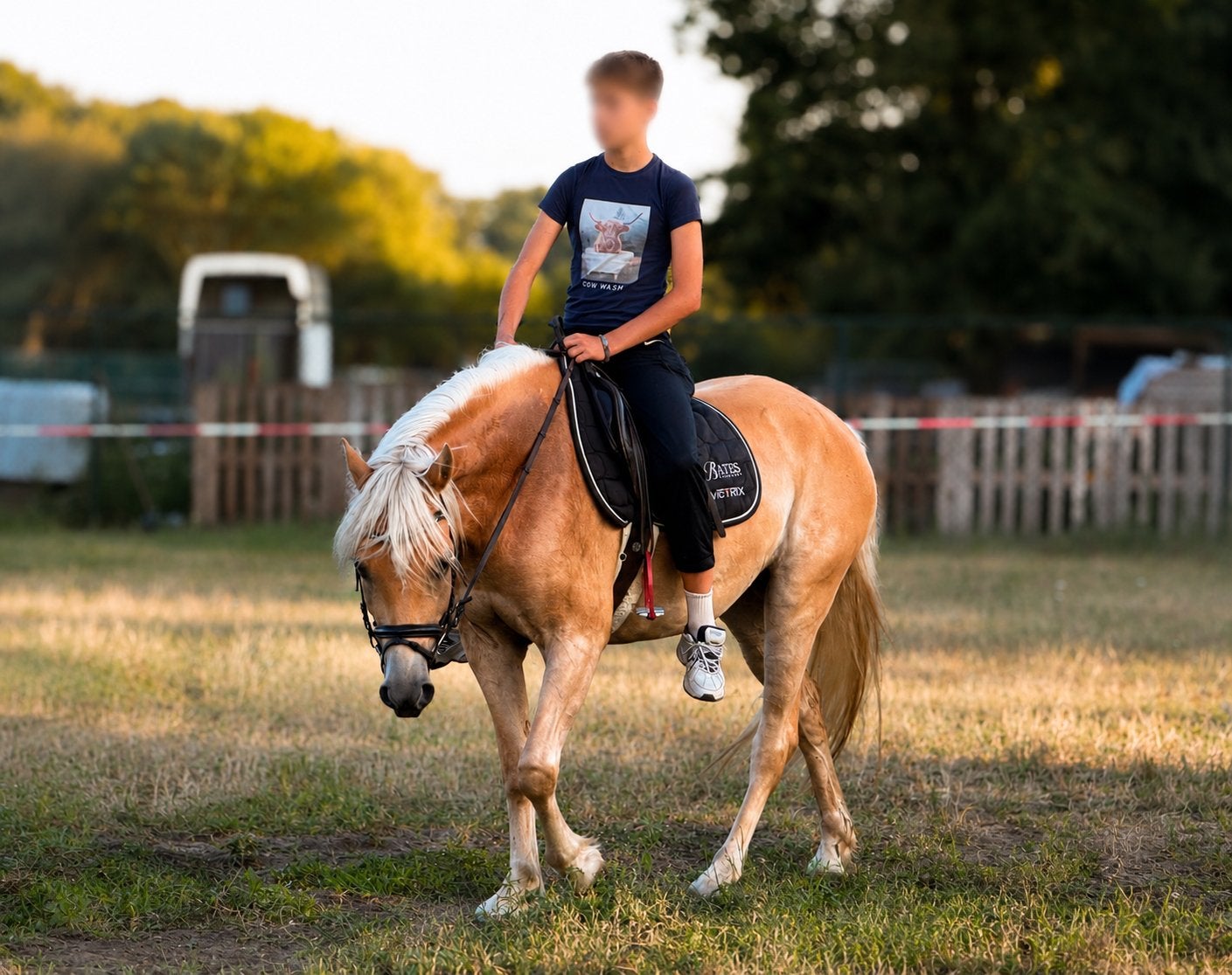 Braaf & Betrouwbaar 4 Jarige || stamboek Haflinger merrie, Merrie, Minder dan 160 cm, 3 tot 6 jaar, Recreatiepaard