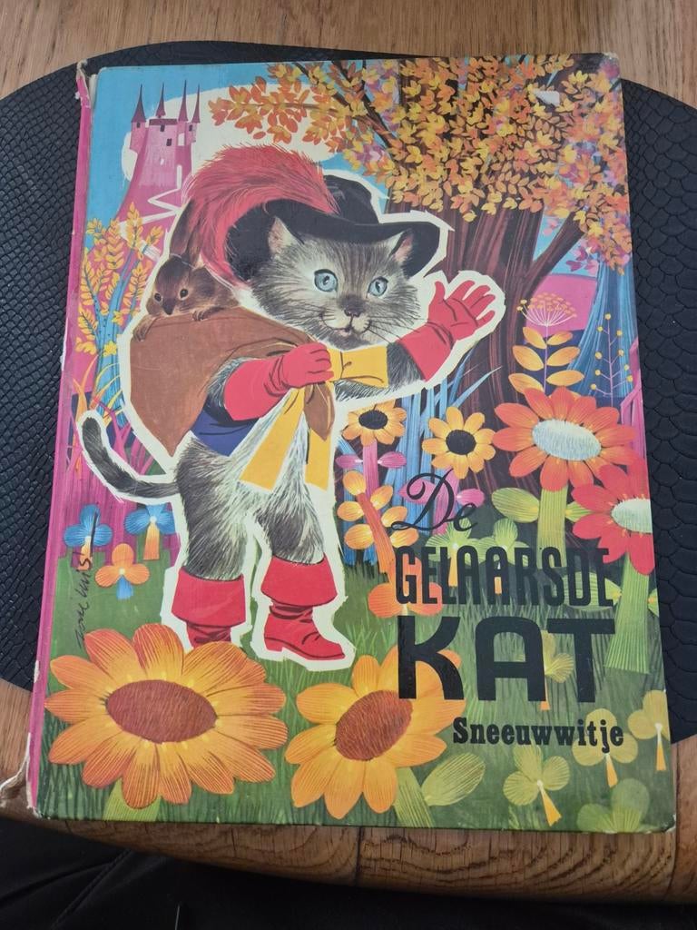 De gelaarsde kat, Ophalen of Verzenden, Gelezen