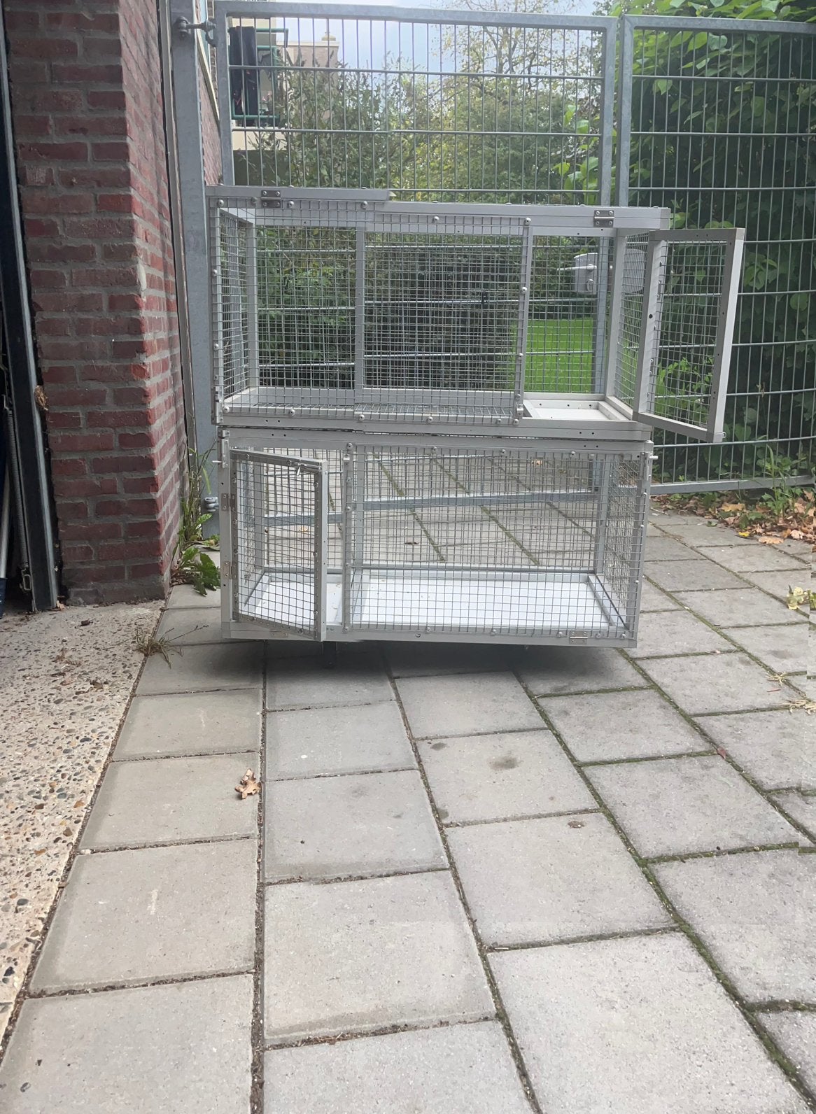 Vogel-Duiven hok, Dieren en Toebehoren, Meerdere dieren, Postduif
