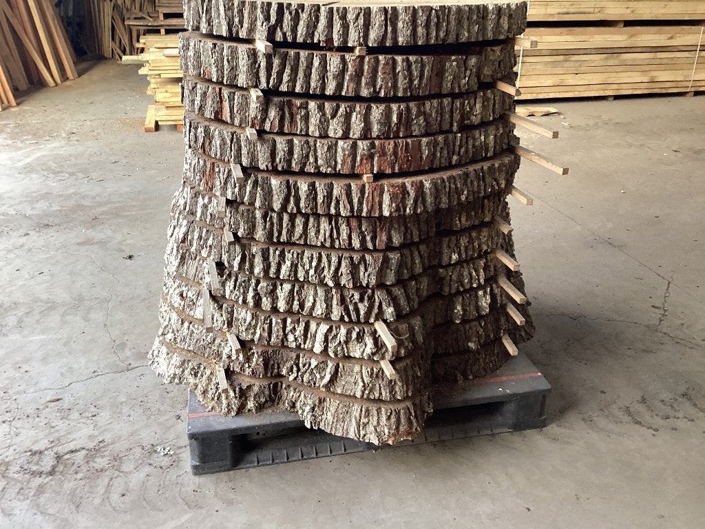 Eiken boomstam schijven, Doe-het-zelf en Verbouw, Hout en Planken, Ophalen, Eiken, Overige typen, 50 mm of meer