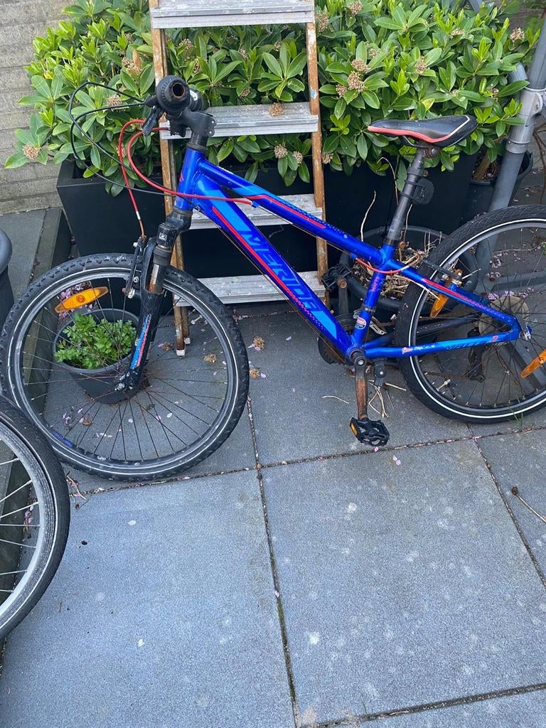 Kinderfiets, Ophalen, Gebruikt, 20 inch