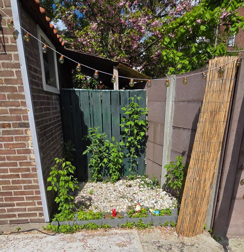 Gratis Kiezel/Grind Gemengd, Tuin en Terras, Ophalen, Gebruikt, Multi, Grind