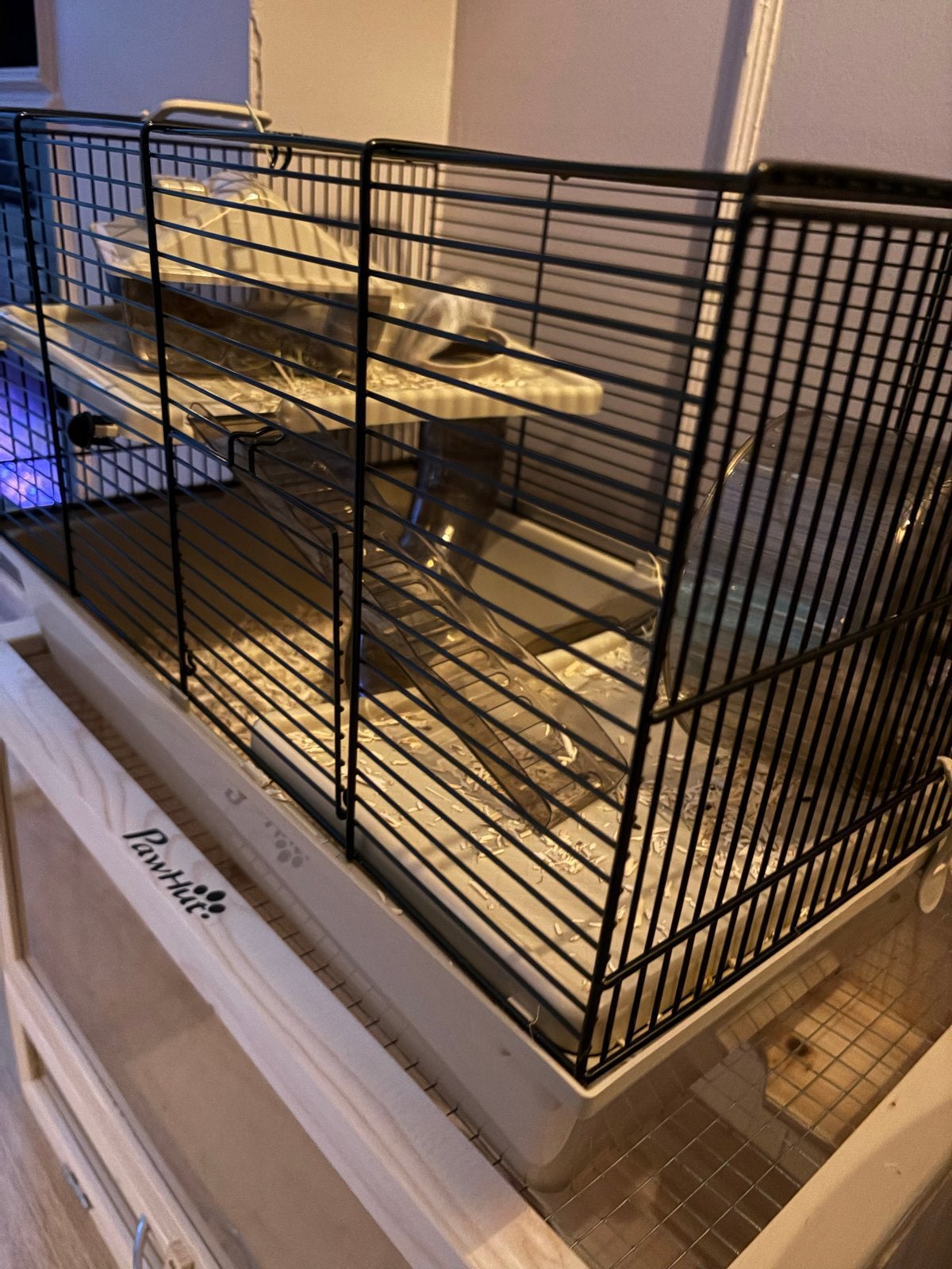 Hamer met 2 kooien vrouwtje tam, Hamster, Juni, Vrouwelijk, Tam
